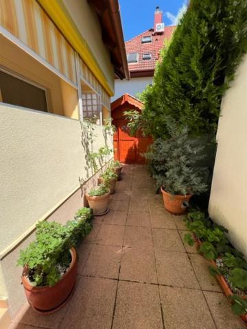 Sofi Appartment ヘーヴィーズ エクステリア 写真